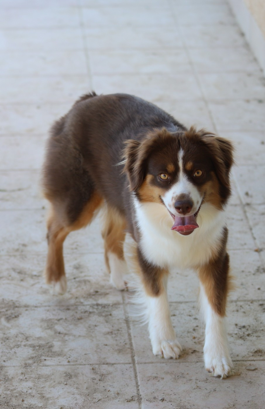 On attend les chaleurs de Idylle !!!